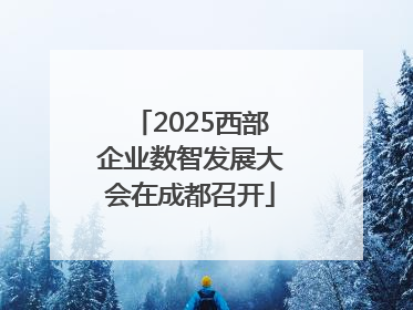 2025西部企业数智发展大会在成都召开